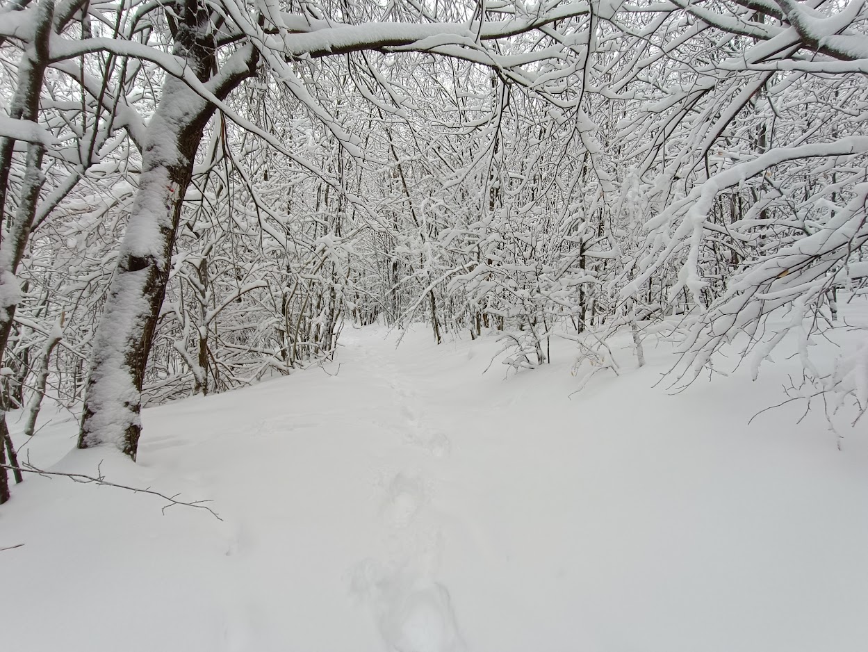 Felső-Mátra turistaút egy kiadósabb havazást követően