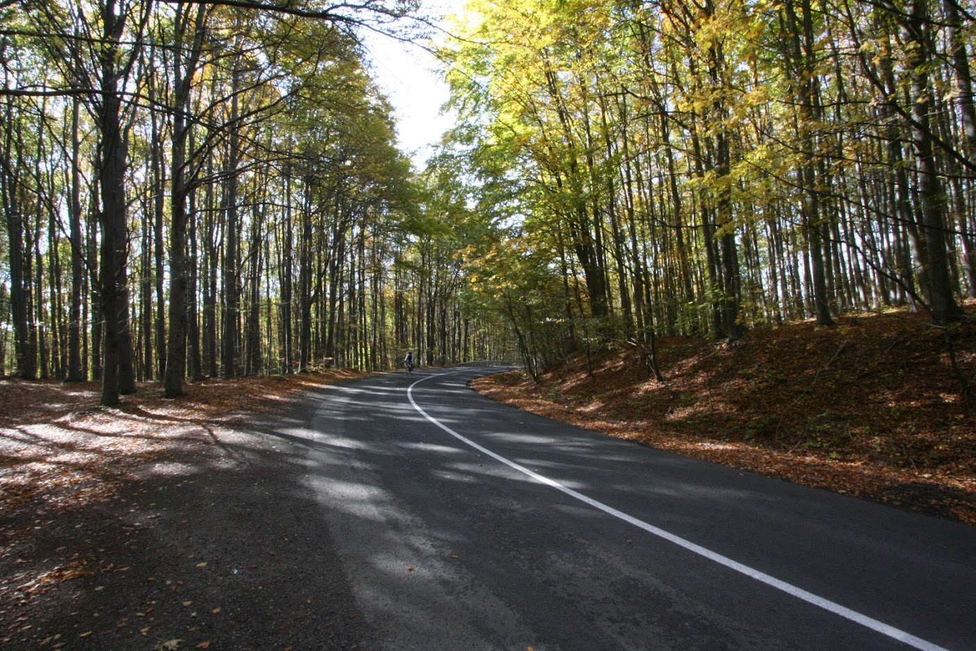 Szakaszos útlezárás