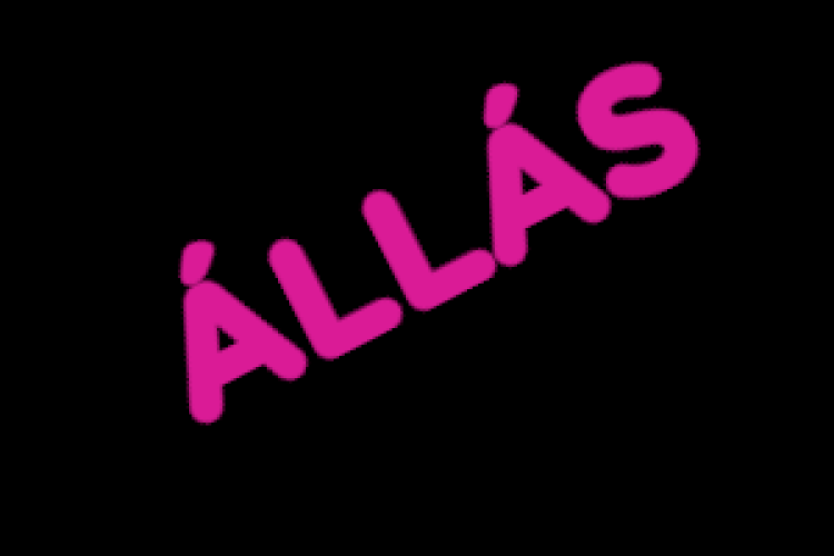 Karbantartói álláshirdetés